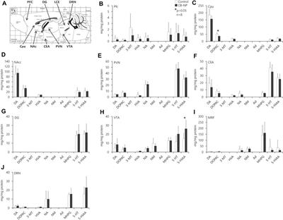 A Novel Staining Method for Detection of Brain Perivascular Injuries Induced by Nanoparticle: Periodic Acid-Schiff and Immunohistochemical Double-Staining